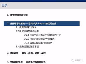 战略深耕与实战管理 软银中国的顶级创投投资策略及投后赋能之道