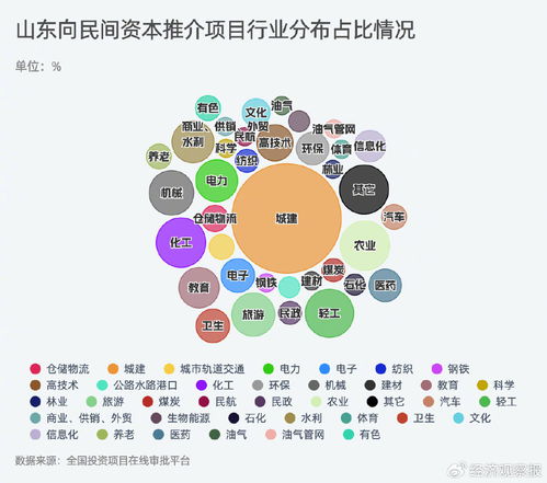 民间投资跑赢大盘，山东背后使了多大劲——对所投资项目进行管理